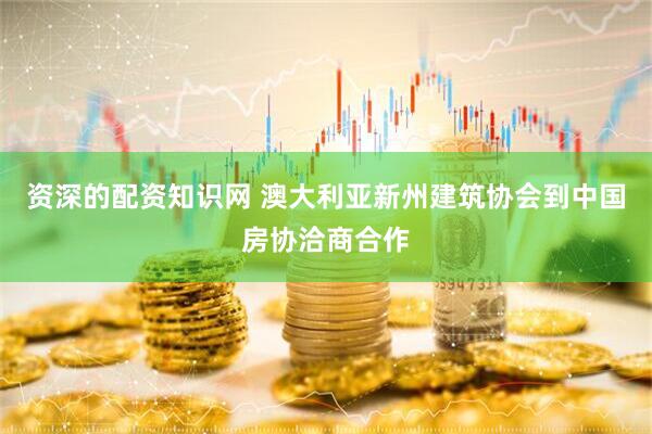 资深的配资知识网 澳大利亚新州建筑协会到中国房协洽商合作