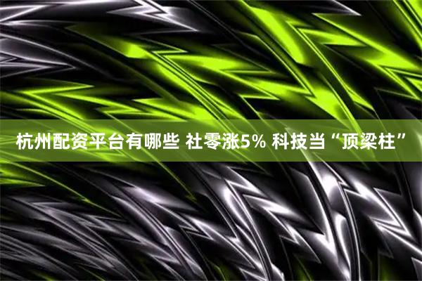 杭州配资平台有哪些 社零涨5% 科技当“顶梁柱”
