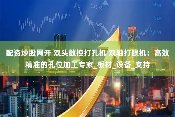 配资炒股网开 双头数控打孔机 双轴打眼机：高效精准的孔位加工专家_板材_设备_支持