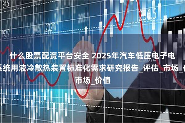 什么股票配资平台安全 2025年汽车低压电子电气系统用液冷散热装置标准化需求研究报告_评估_市场_价值
