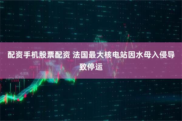 配资手机股票配资 法国最大核电站因水母入侵导致停运