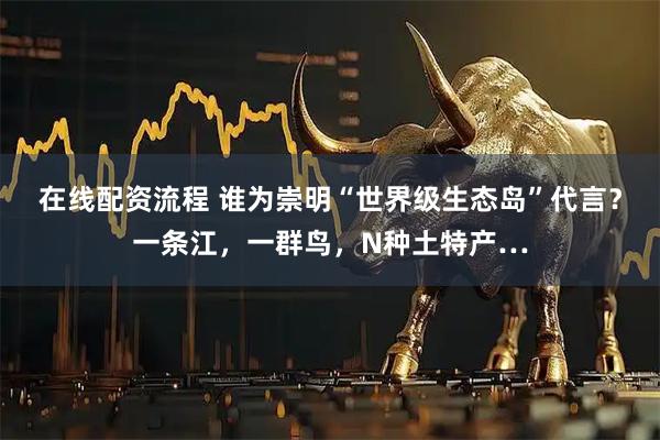 在线配资流程 谁为崇明“世界级生态岛”代言？一条江，一群鸟，N种土特产…